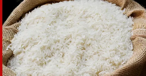 برنج طارم ممتاز گلستان + تضمین کیفیت